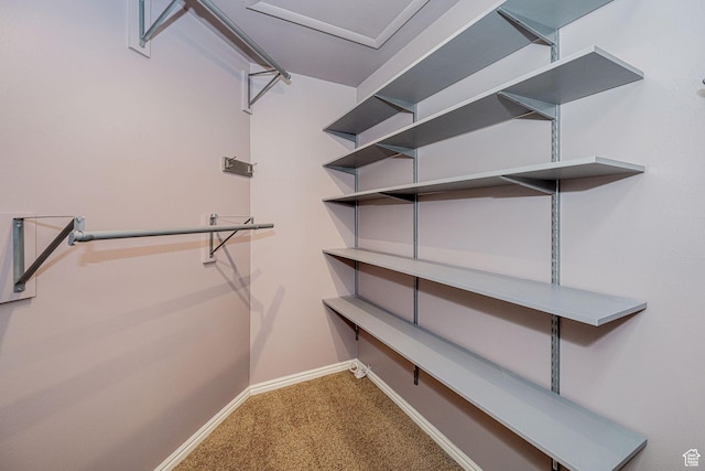 2356 E 3900 S, Millcreek, UT 84124 - walk in closet with carpet floors