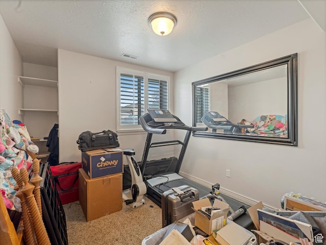 3057 N 3325 W, Plain City, UT 84404 - exercise room featuring visible vents, baseboards, carpet flooring, and a textured ceiling