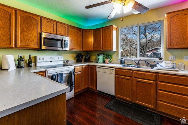 kitchen featuring a sink, white appliances, ceiling fan, light countertops, and dark wood finished floors