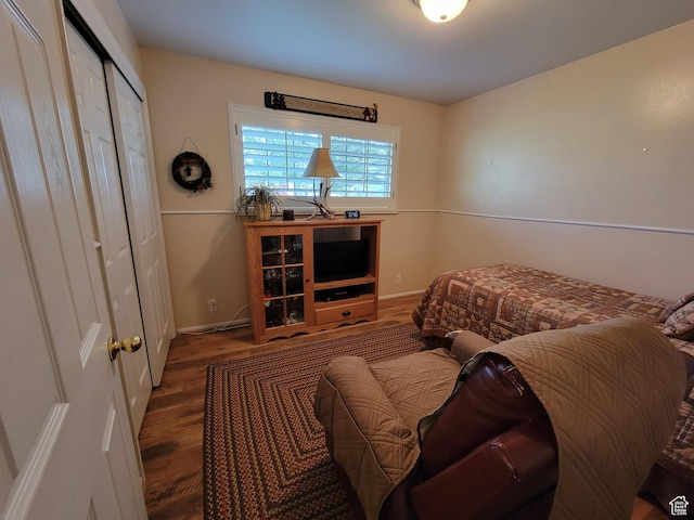 bedroom with wood finished floors and a closet