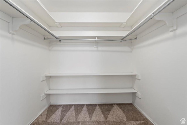 148 N 100 E, American Fork, UT 84003 - walk in closet featuring carpet flooring