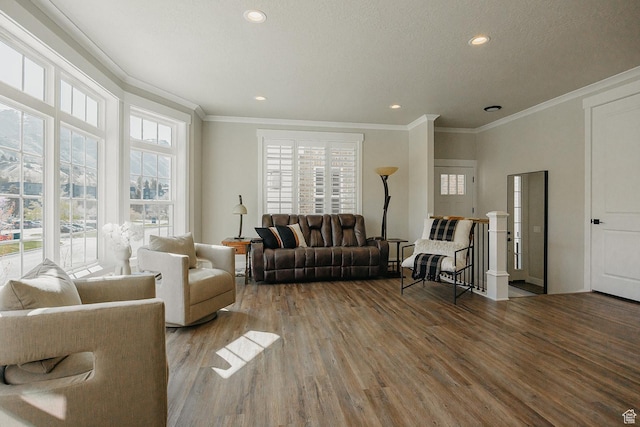living area featuring a textured ceiling, wood finished floors, ornamental molding, and recessed lighting