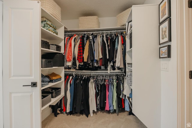 walk in closet featuring carpet