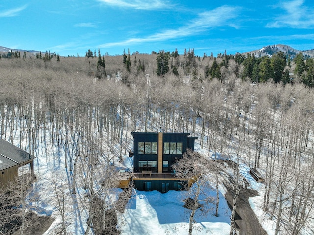 10802 E Green Briar Rd Unit 562, Heber City, UT 84032 - view of snowy aerial view