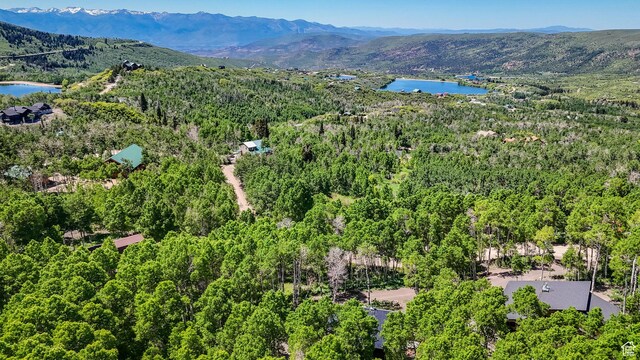 10802 E Green Briar Rd Unit 562, Heber City, UT 84032 - photo 47