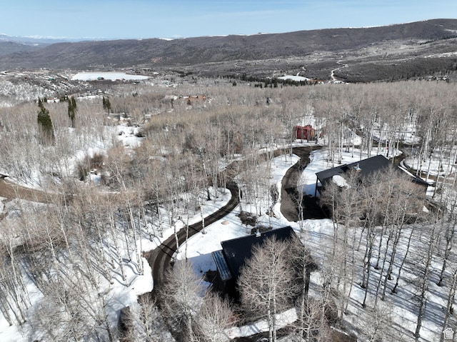 10802 E Green Briar Rd Unit 562, Heber City, UT 84032 - snowy aerial view featuring a mountain view