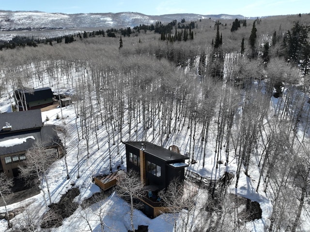 10802 E Green Briar Rd Unit 562, Heber City, UT 84032 - snowy aerial view with a mountain view