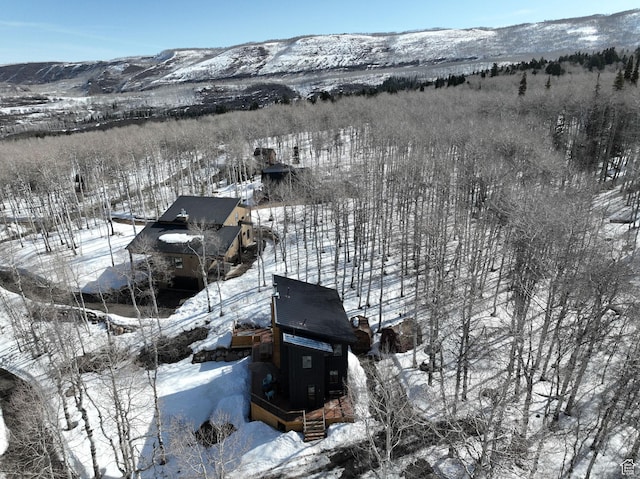 10802 E Green Briar Rd Unit 562, Heber City, UT 84032 - snowy aerial view with a mountain view