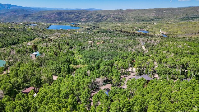 10802 E Green Briar Rd Unit 562, Heber City, UT 84032 - photo 51