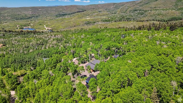 10802 E Green Briar Rd Unit 562, Heber City, UT 84032 - photo 50