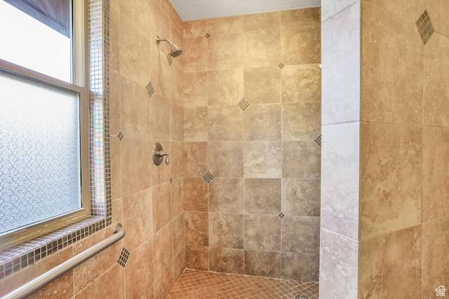 282 Valley View Dr, Springdale, UT 84767 - bathroom with tiled shower