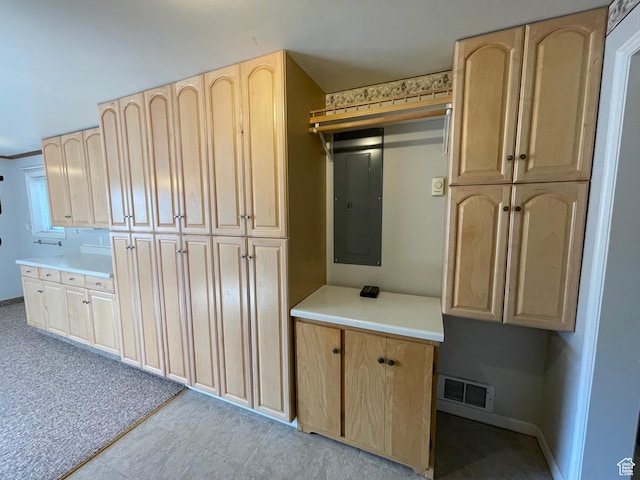 848 N 500 W, Malad City, ID 83252 - interior space featuring visible vents, baseboards, electric panel, light countertops, and light brown cabinetry