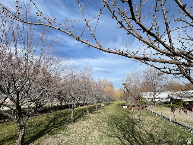 848 N 500 W, Malad City, ID 83252 - view of home's community featuring a yard