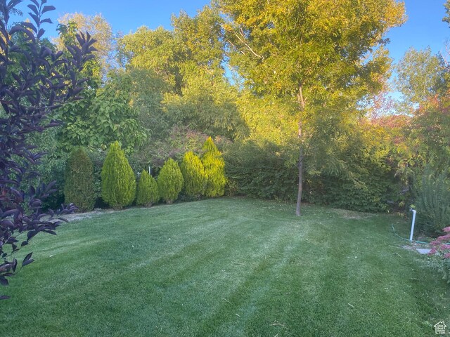 848 N 500 W, Malad City, ID 83252 - view of yard