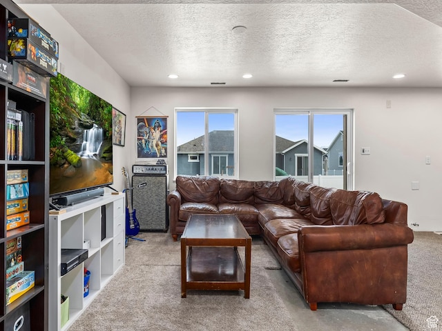 572 W Goosenest Dr, Elk Ridge, UT 84651 - living room with carpet, a textured ceiling, and recessed lighting