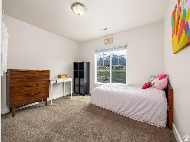 572 W Goosenest Dr, Elk Ridge, UT 84651 - bedroom with carpet and baseboards