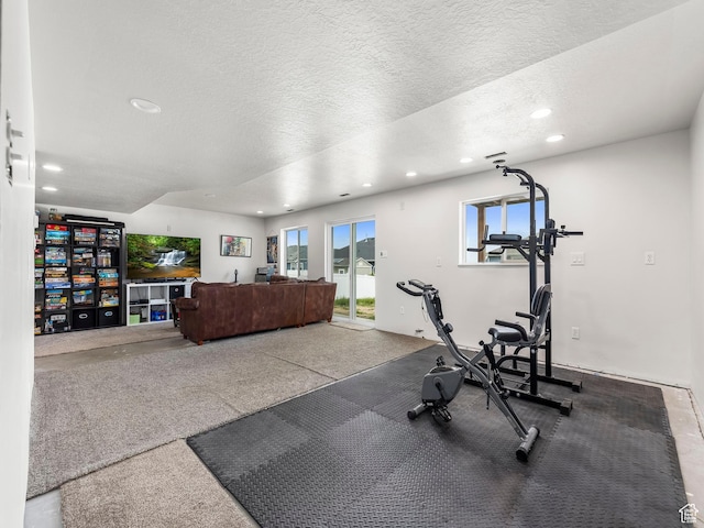 572 W Goosenest Dr, Elk Ridge, UT 84651 - exercise room featuring recessed lighting and a textured ceiling