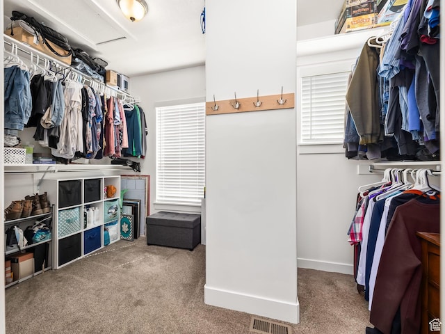 572 W Goosenest Dr, Elk Ridge, UT 84651 - walk in closet featuring carpet floors