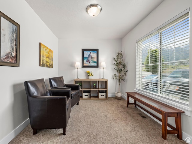 572 W Goosenest Dr, Elk Ridge, UT 84651 - living area with carpet floors and baseboards