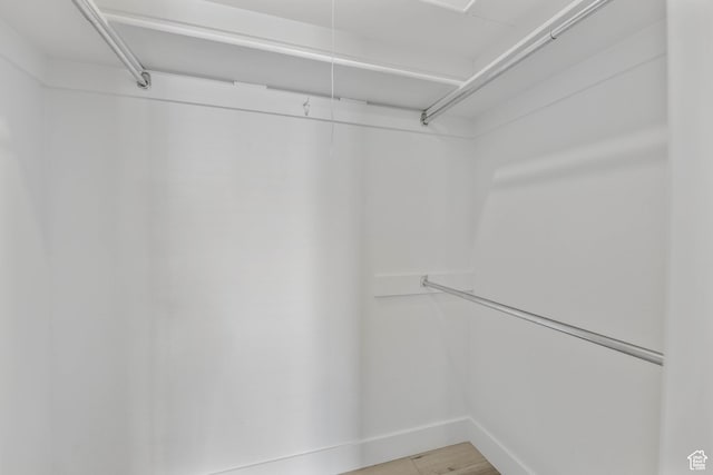 spacious closet featuring light wood finished floors