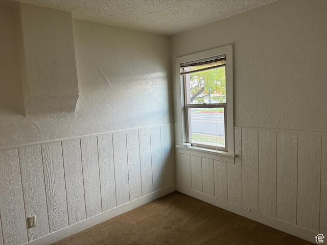 unfurnished room featuring a textured ceiling, a healthy amount of sunlight, carpet flooring, and wainscoting