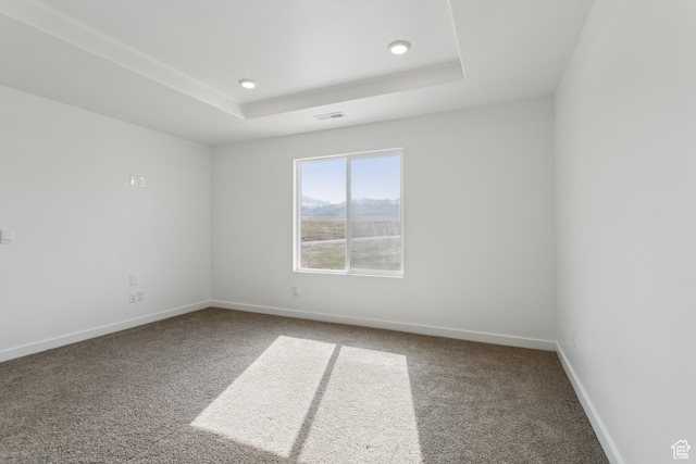 13 N N Maraschino Ln, Grantsville, UT 84029 - unfurnished room featuring a raised ceiling, visible vents, baseboards, and carpet floors