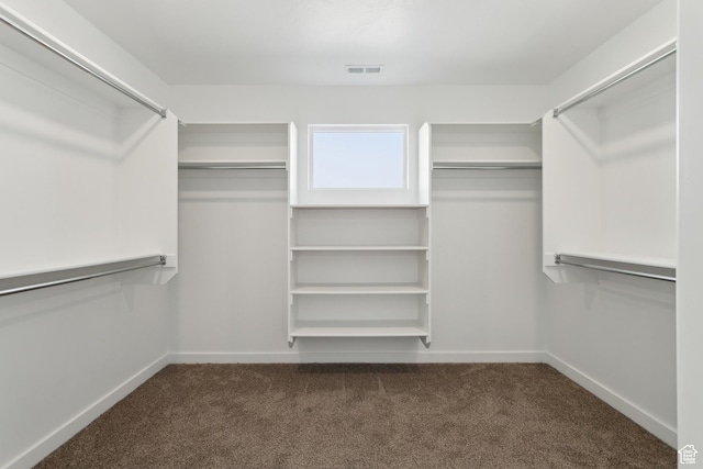 13 N N Maraschino Ln, Grantsville, UT 84029 - walk in closet with visible vents and carpet flooring