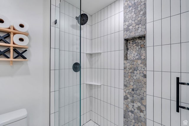 2155 E Blue Sky Dr, Eagle Mountain, UT 84005 - bathroom featuring a tile shower and toilet