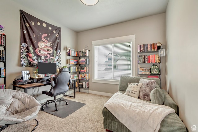 542 W Coyote Ridge Rd Unit 20, Grantsville, UT 84029 - carpeted office space featuring baseboards