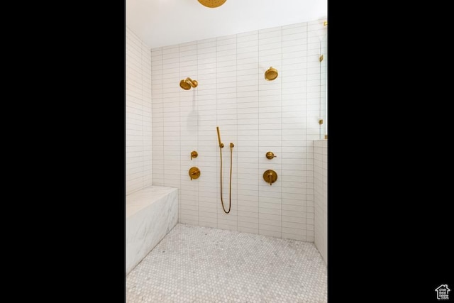 4155 S Parkview Dr, Salt Lake City, UT 84124 - bathroom with tiled shower