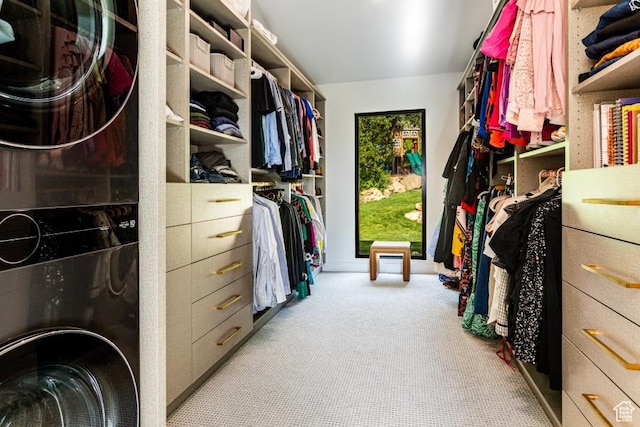 4155 S Parkview Dr, Salt Lake City, UT 84124 - walk in closet with carpet flooring
