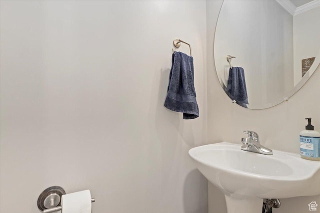 bathroom featuring a sink and crown molding