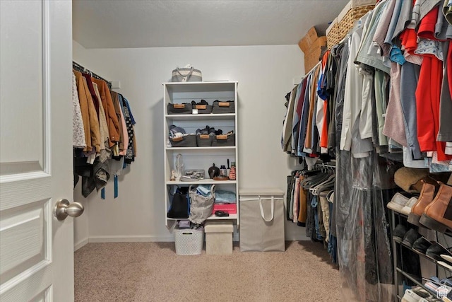 walk in closet featuring carpet floors