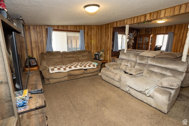 145 S 100 E, Redmond, UT 84652 - living room with wood walls, carpet flooring, and a wealth of natural light