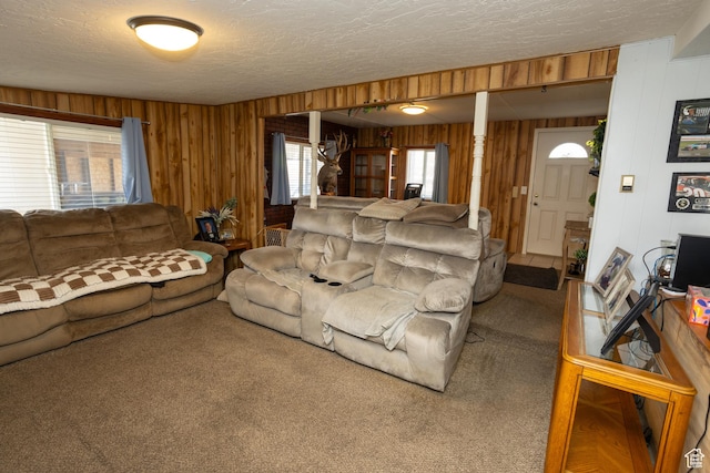 145 S 100 E, Redmond, UT 84652 - carpeted living room featuring wooden walls and a textured ceiling