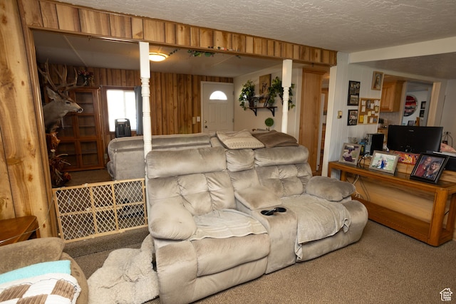 145 S 100 E, Redmond, UT 84652 - carpeted living room with wood walls and a textured ceiling