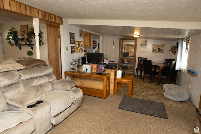 145 S 100 E, Redmond, UT 84652 - living area with a textured ceiling, wooden walls, and carpet floors