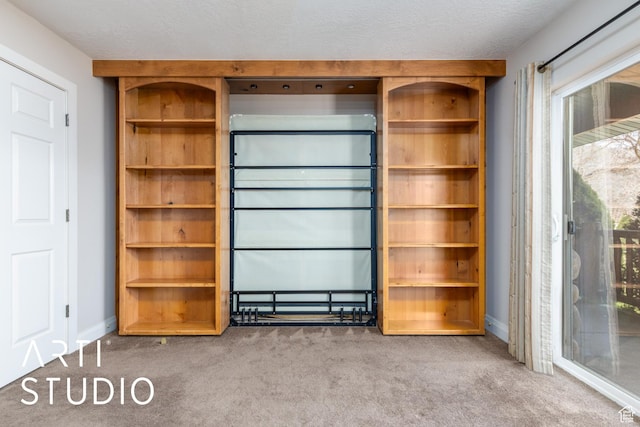 260 S 10450 E, Huntsville, UT 84317 - view of closet