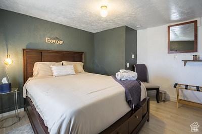 48 E 2nd N, Manila, UT 84046 - bedroom with light wood-style floors