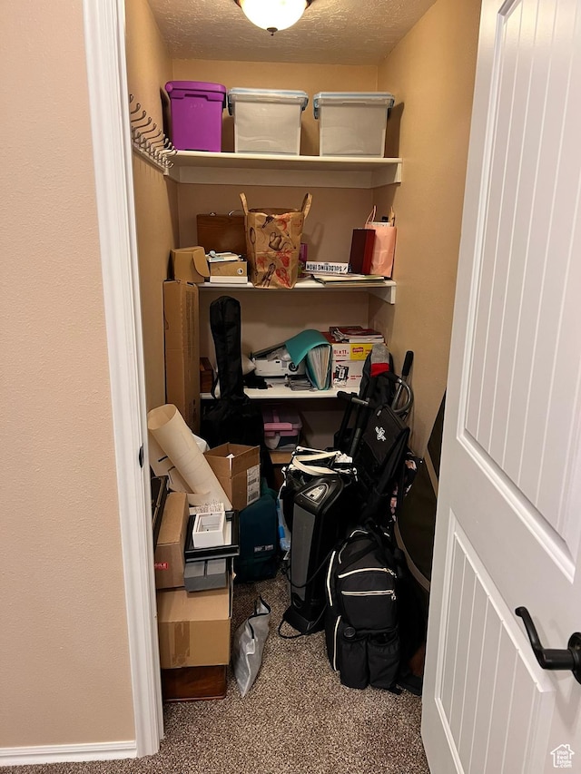 7777 N Mountain Ash Way, Eagle Mountain, UT 84005 - view of storage room