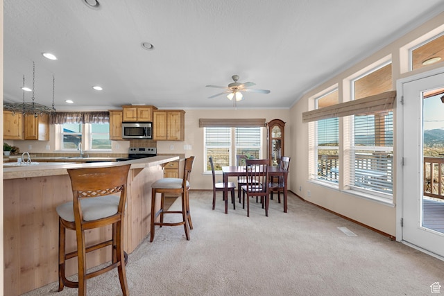 19185 N 11250 E, Mount Pleasant, UT 84647 - kitchen with light countertops, a wealth of natural light, appliances with stainless steel finishes, and light colored carpet
