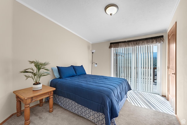 19185 N 11250 E, Mount Pleasant, UT 84647 - carpeted bedroom with access to outside and crown molding