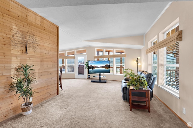 19185 N 11250 E, Mount Pleasant, UT 84647 - carpeted living room with wood walls, baseboards, and vaulted ceiling