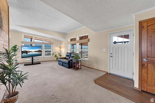 19185 N 11250 E, Mount Pleasant, UT 84647 - carpeted entrance foyer featuring crown molding, a wealth of natural light, baseboards, and a textured ceiling