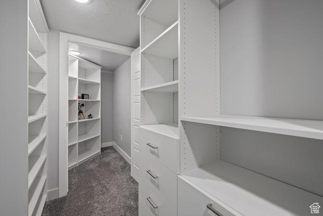1976 E 1200th Cir N, St George, UT 84770 - walk in closet with dark colored carpet