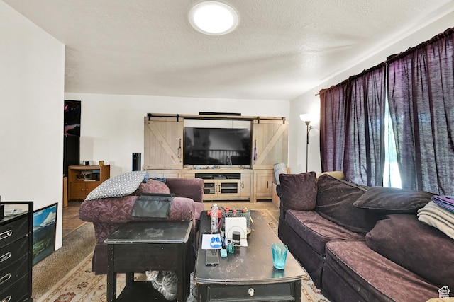 1705 W 4575 S, Roy, UT 84067 - living area featuring a barn door, a textured ceiling, and carpet floors