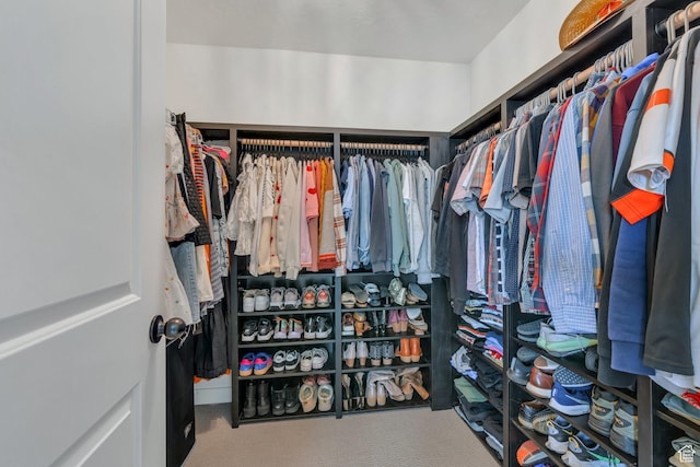 spacious closet with carpet