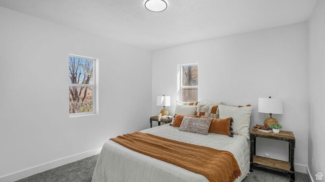 bedroom featuring baseboards, multiple windows, and carpet