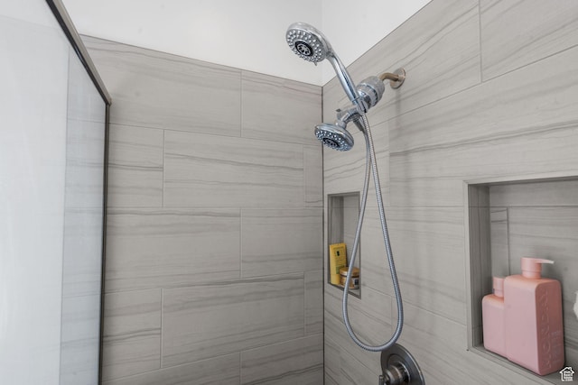 4898 N 10 E, Enoch, UT 84721 - details featuring a tile shower
