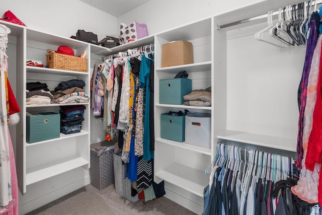 4898 N 10 E, Enoch, UT 84721 - spacious closet featuring carpet